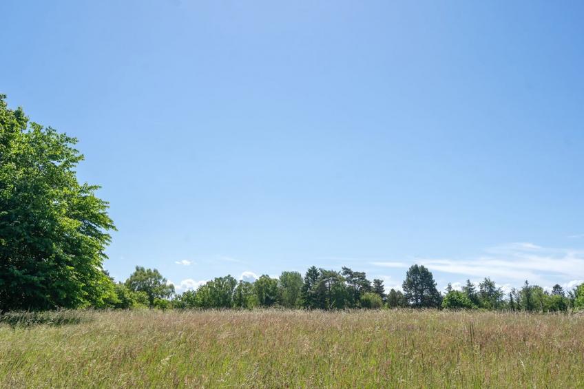 "Naira" - 1.8km from the sea in Sealand - foto 24