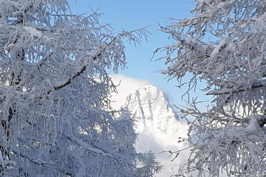 Apartment HAL  - one bedroom apartment - foto 17