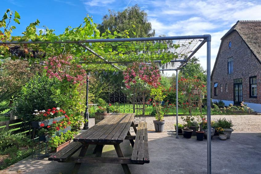 Wohnung auf dem Bauernhof - foto 19