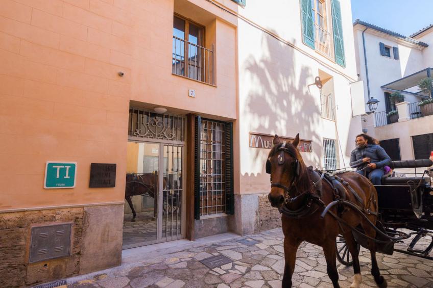 VINTAGE PALMA PALACE (CLASSIC 2) TI/200 - foto 12