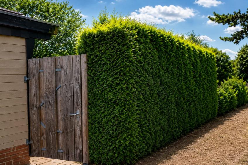 Knus chalet In een rustige omgeving met vijver - foto 6