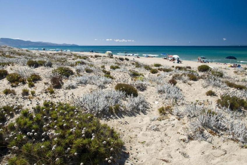 Camping Baia Paradiso - foto 33