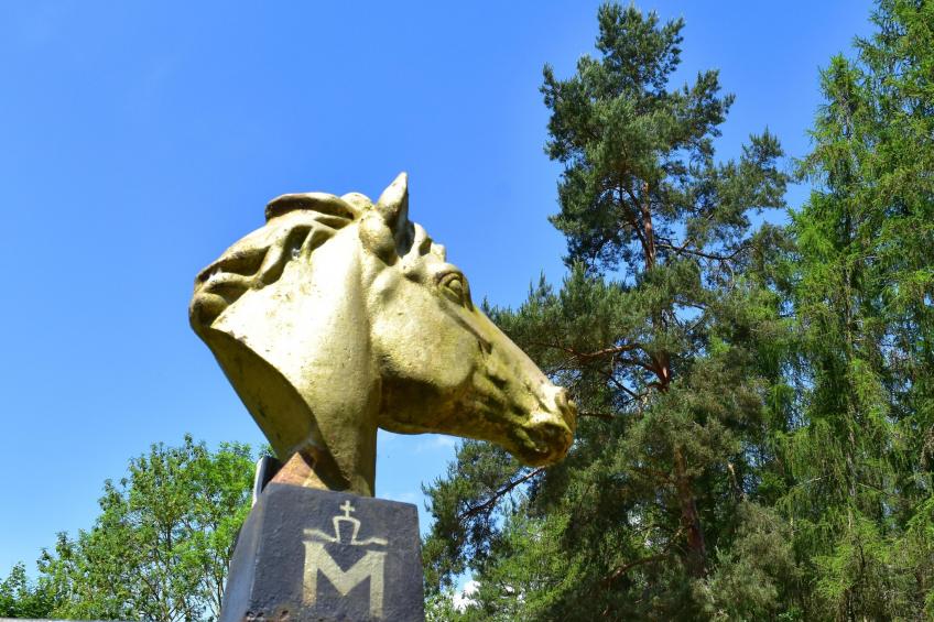Twee-onder-een-kap woning Seepferdchen, Lohmen - foto 30