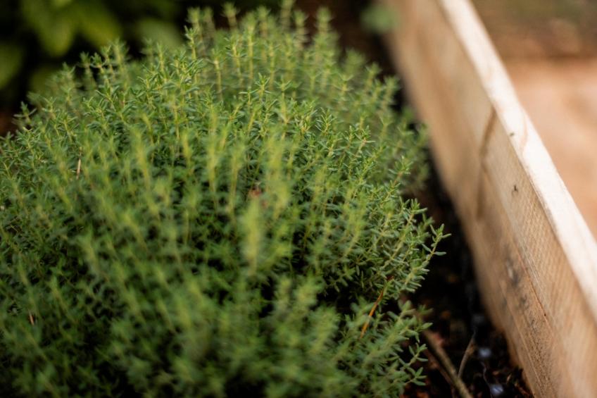 Park Haarle - foto 34