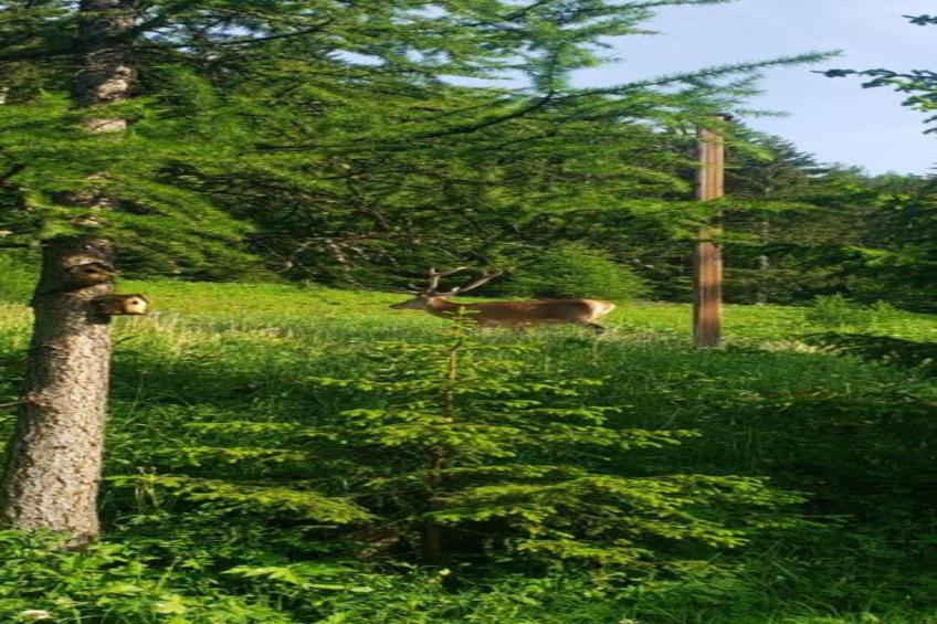 La Turra N°414 - 3P6 - foto 13