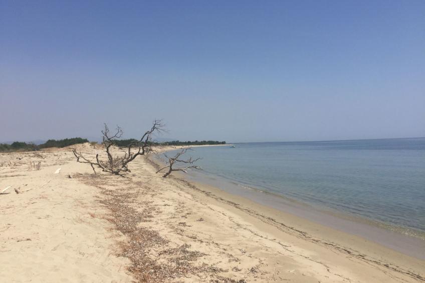 Domaine Punta della Guardia Maison A Figa mit Blick auf das Meer - foto 31