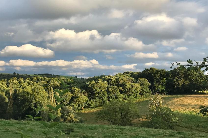 The Grange - foto 39