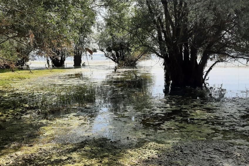 Fachwerkhaus "Charme - foto 19