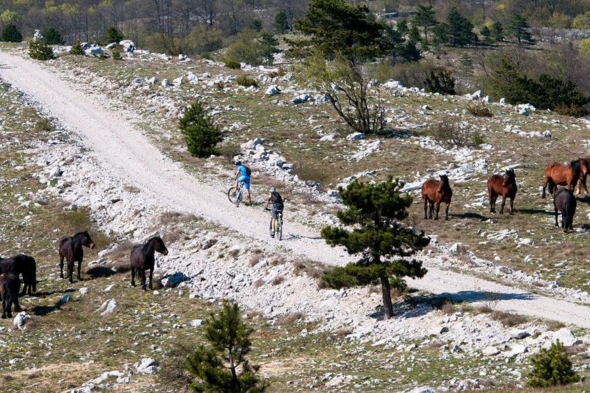 mit Balkon und Terrasse - foto 38