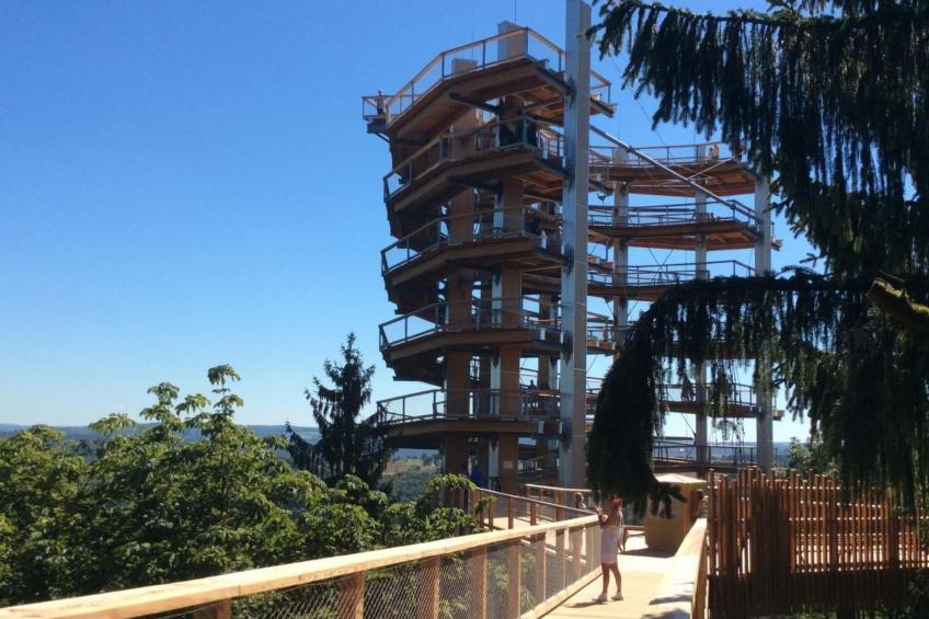 Einzigartige Lage direkt Mosel und Radweg. - foto 14