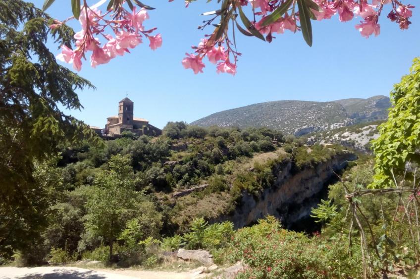 Javier Haus - foto 20