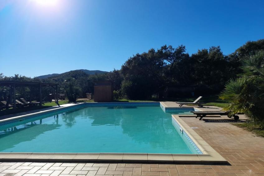 Wohnung mit Terrasse - foto 33