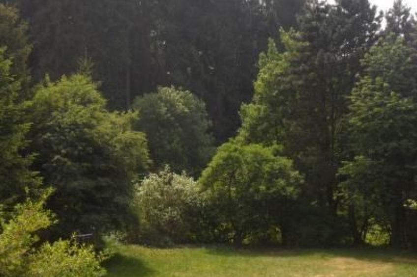 in Kuhklingen mit Großer Terrasse - foto 2