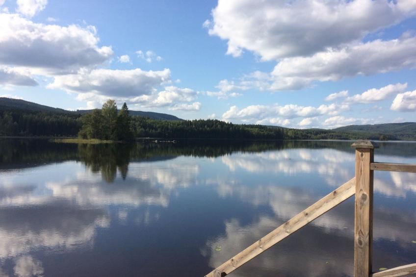 in Hagfors mit Großem Garten - foto 12