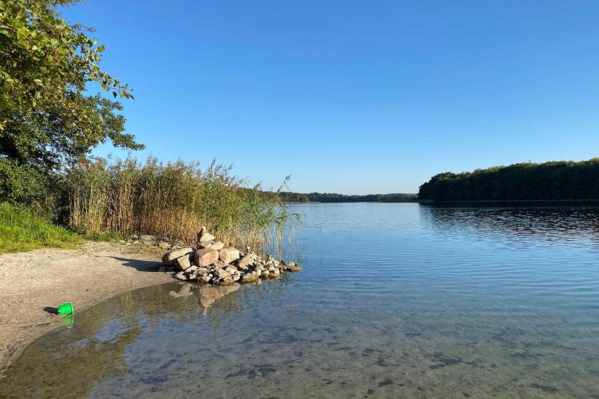 Single Room - foto 32