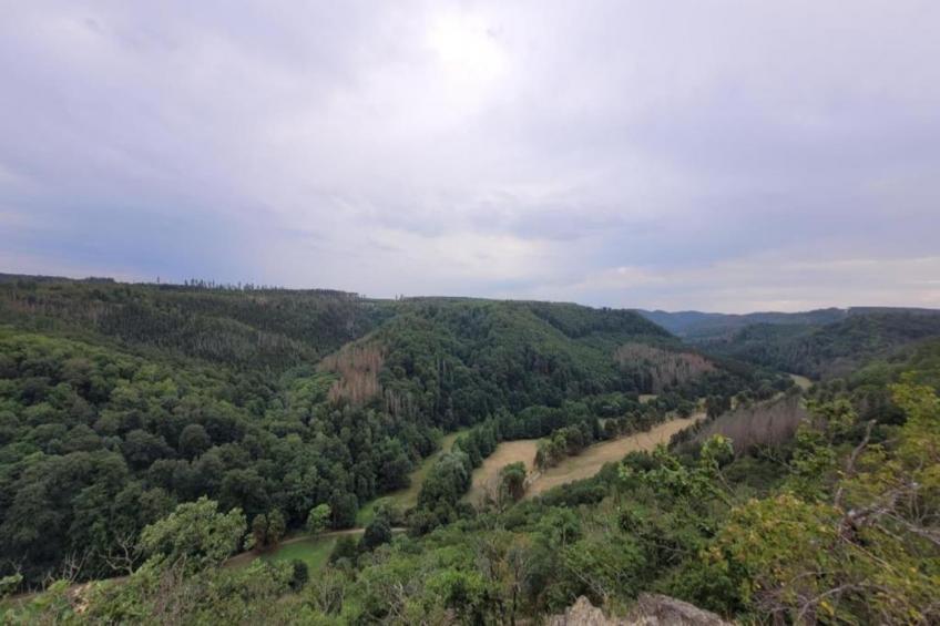 Meisdorf I - foto 27