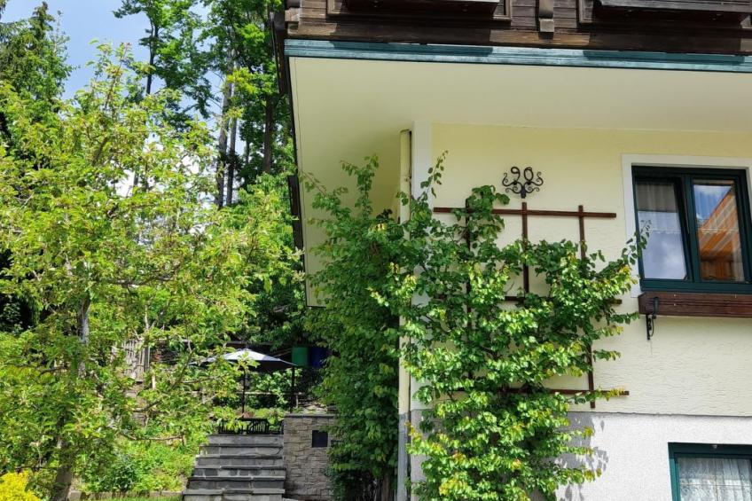 Haus Bernkogelblick in Goldegg - foto 2