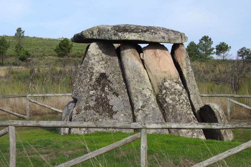 Ferien auf dem Bauernhof mit Weinberg - foto 38