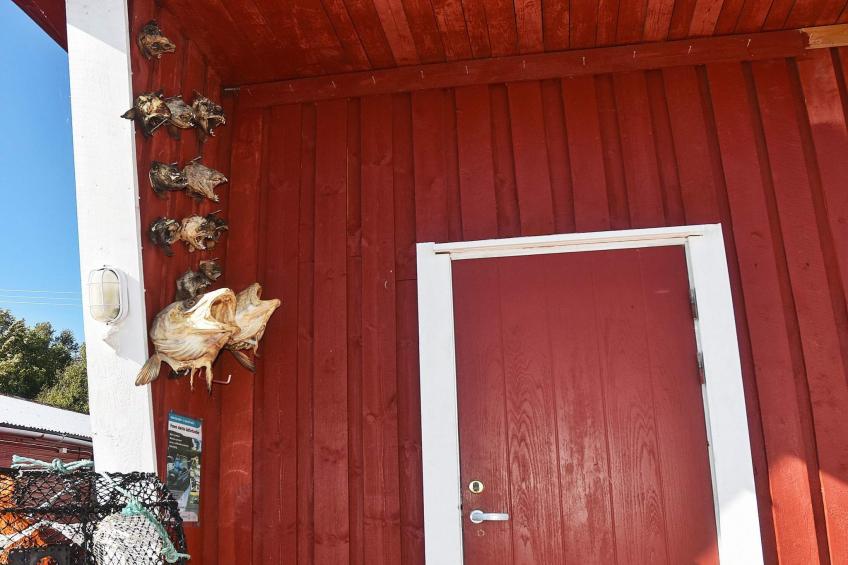 40680 - HAVGLØTT - foto 3