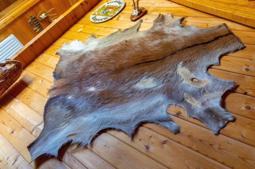 Veste Coburg Blick - foto 12