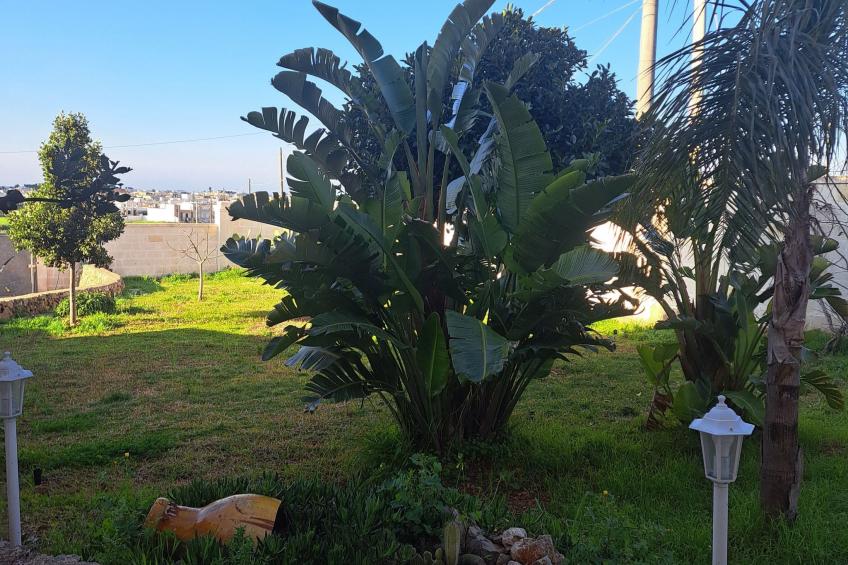 'Casetta 45 - foto 5