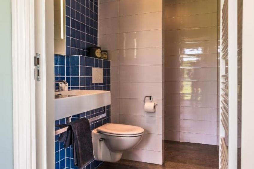 Geräumiges Ferienhaus in Mechelen mit - foto 8