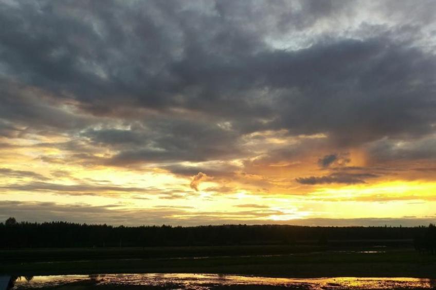 in Vindeln mit Garten, Terrasse und Grill - foto 27