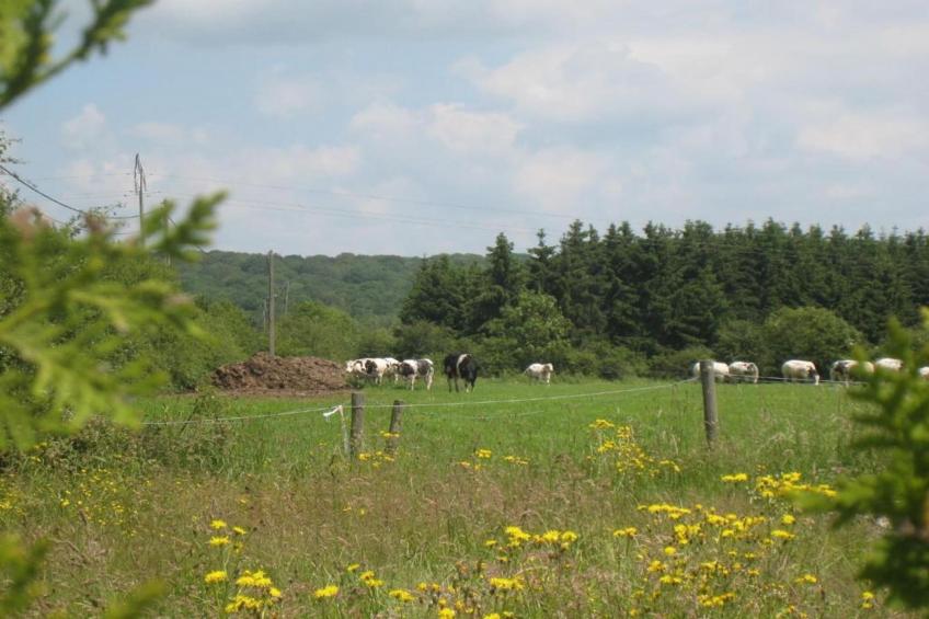 Les Sittelles - foto 31