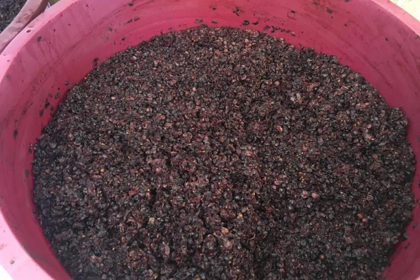 Großes Studio mit Terrasse mit Meerblick - foto 46