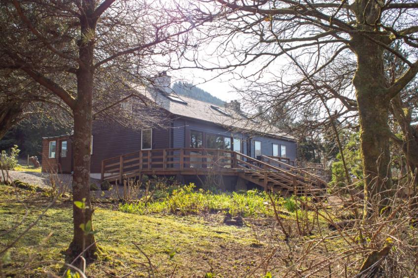 Blue Lobster - foto 44