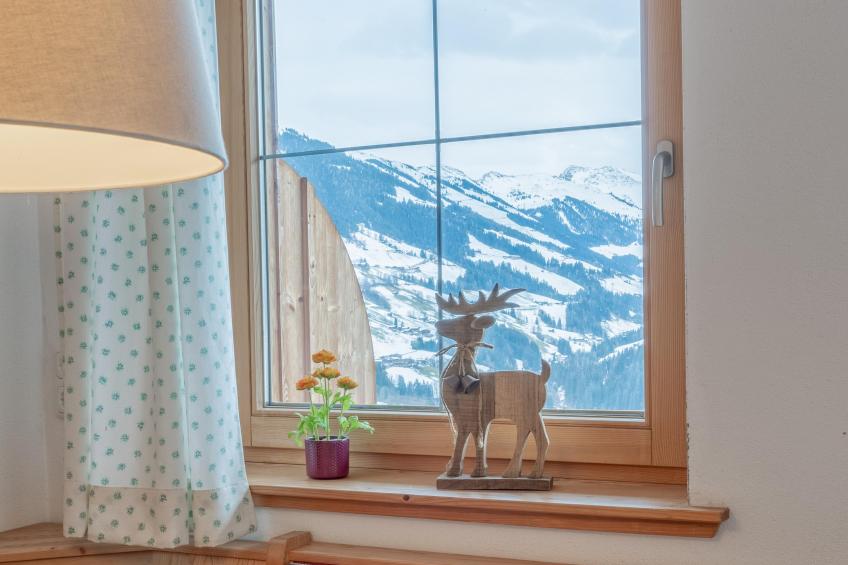 Haus Fernwald Top Tim und Nynke - foto 12