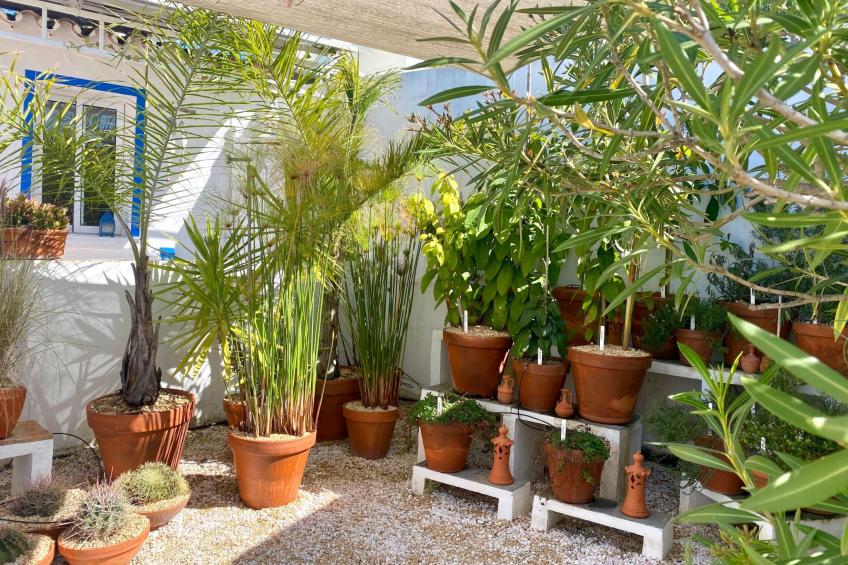 Vila Primaveira , Nur für Erwachsene - foto 20