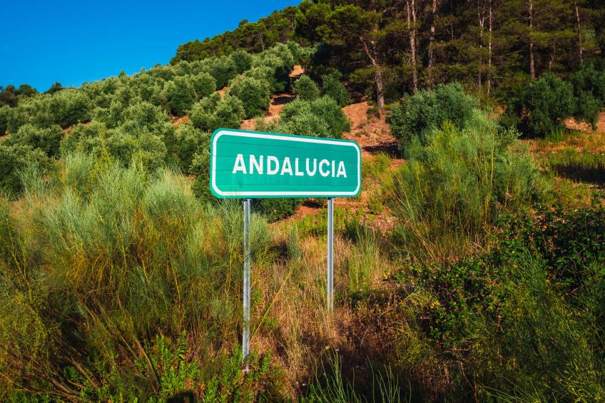 Casa Maria - foto 16