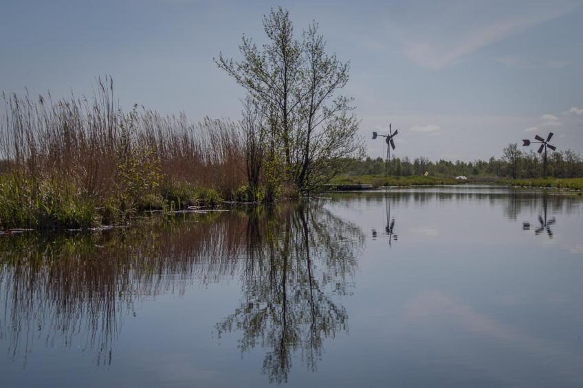 Groepsaccommodatie + 4 large greenhouses (36 personen) - foto 33
