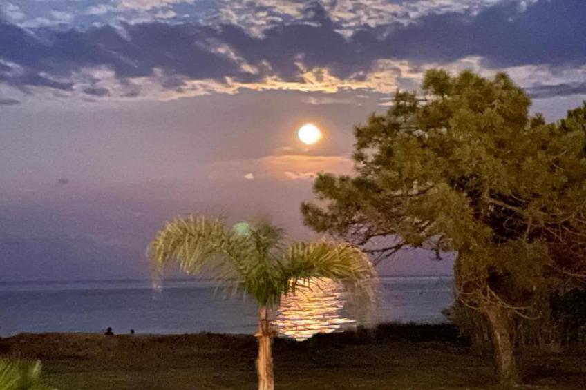 La Corse et la plage autrement - foto 38