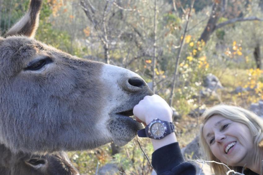 Villa Viktoria - foto 41