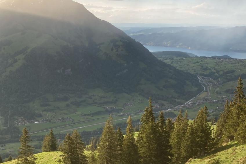 Hofuri, 1300m - foto 16