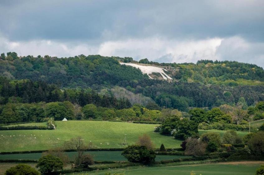Ryedale Hall Cottage - foto 20
