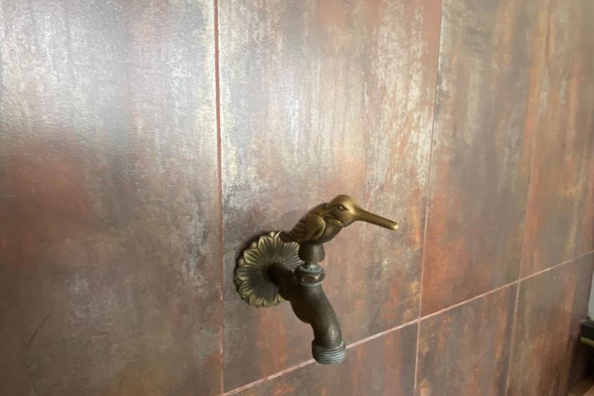 Alte Dorfschule - foto 6