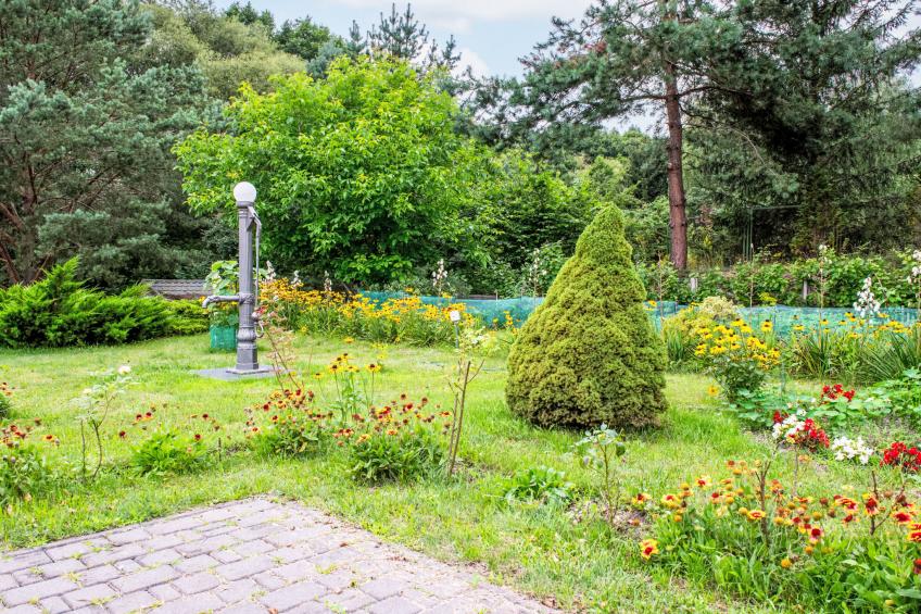 Głęboczek 1 - foto 19