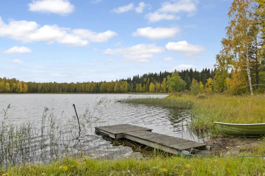 Lahdenpohja, vaikon loma ja lohi - foto 11