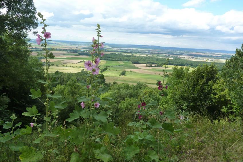 für 6 Personen + 1 Kind ca. 188 m²in Damelevières, Lothringen (Meurthe-et- - foto 36