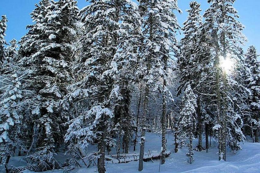 Résidence Bois De Marie - foto 28