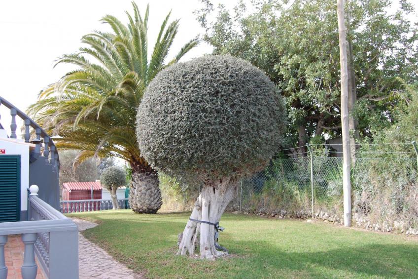 Villa Monte Alegrete - foto 16