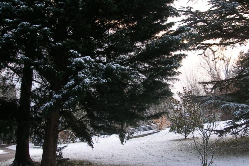 Fewo-ferber, Vogesen - foto 24