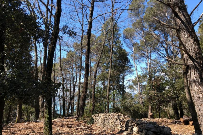 Mago in Ameglia - foto 8