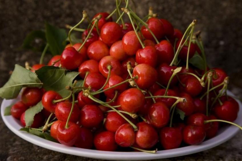 Wohnung im Agrotourismus in Bevagna - foto 8