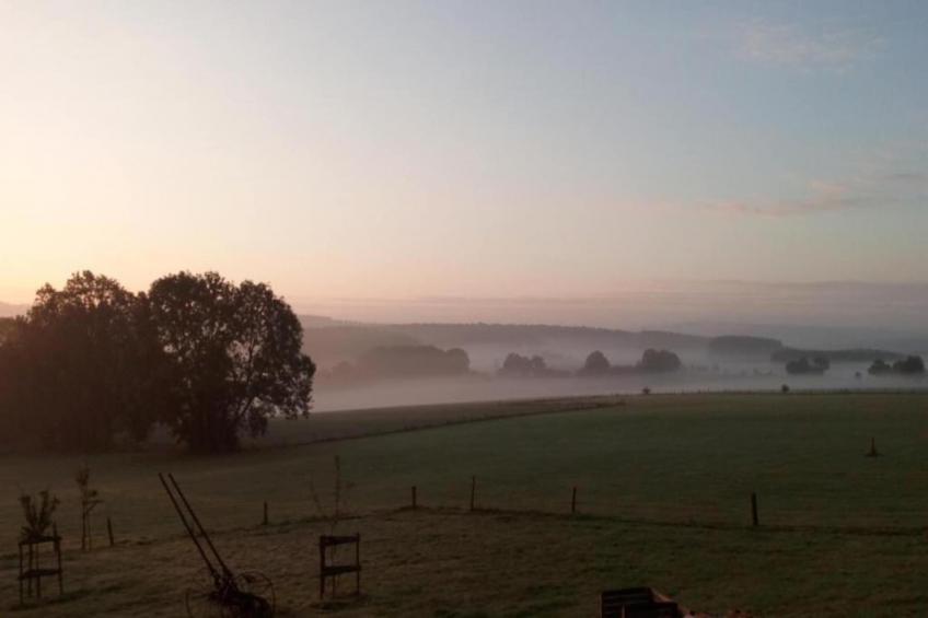 Le Meheret - foto 36