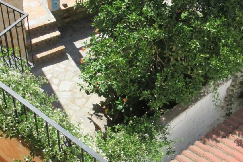 Eine Oase der Ruhe mitten in der Stadt - foto 28