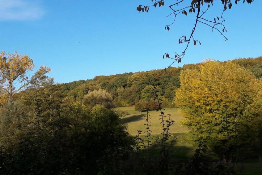 Resort Gulpen 4 - foto 35